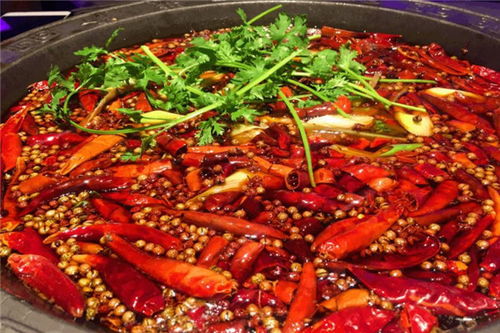 龍里火鍋加盟 傳統(tǒng)火鍋與現(xiàn)代燜鍋的雙重優(yōu)勢