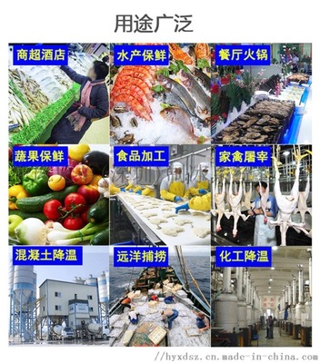 商用片冰機（500公斤/天） 餐飲業(yè)高效運營與品質(zhì)保障的制冰利器